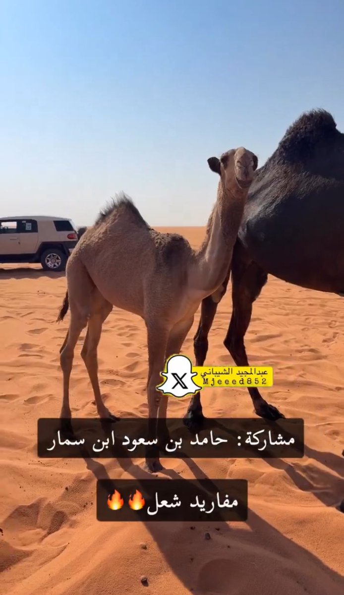 lılı بــروılıl tweet media