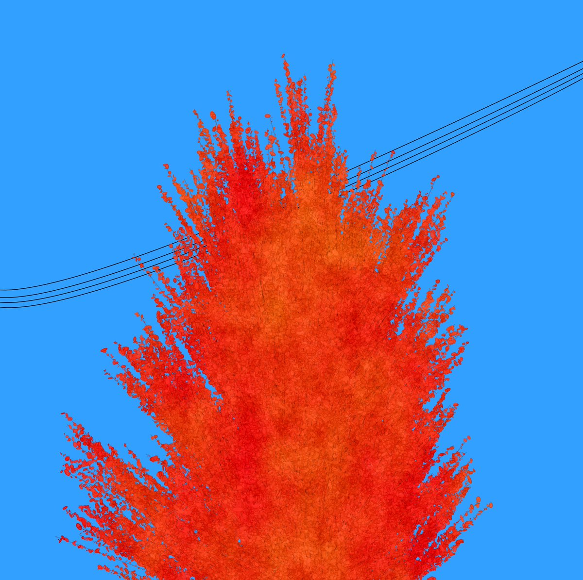 yutorehito_'s tweet image. #p5js #processing #generativeart #creativecoding