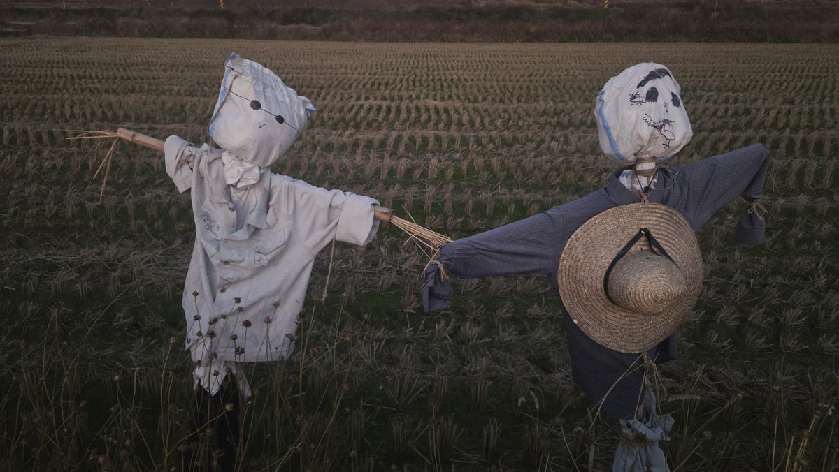 허허벌판에 허수아비 나란히 손잡고 서있네요 외롭진 않을 듯 해요 ^*