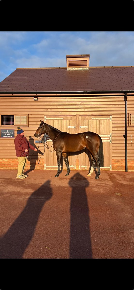 TaylorMadeMark's tweet image. Porta Fortuna