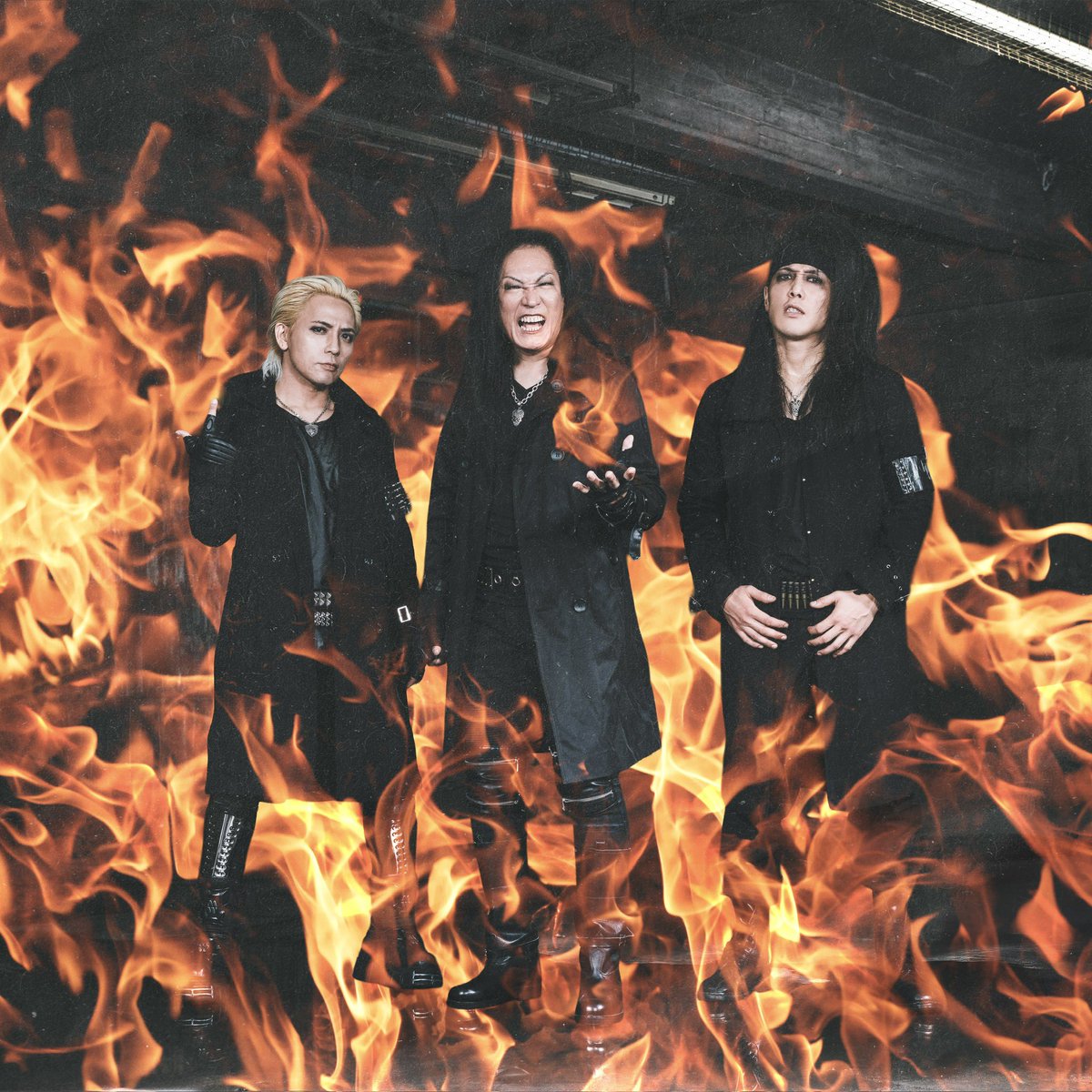 ◇MIEcchi(ﾐｴｯﾁ)◇。 (@love3nyanko) / Posts / X