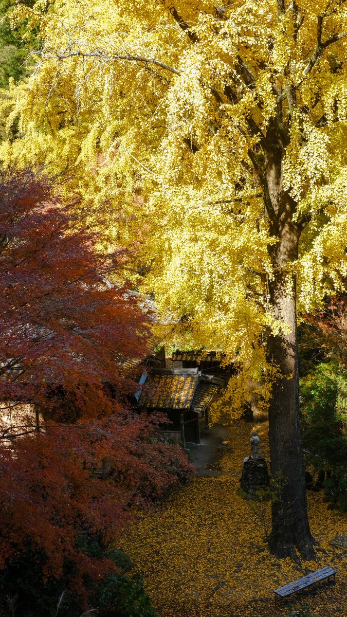 おいも (@oimo_3939) / Posts / X