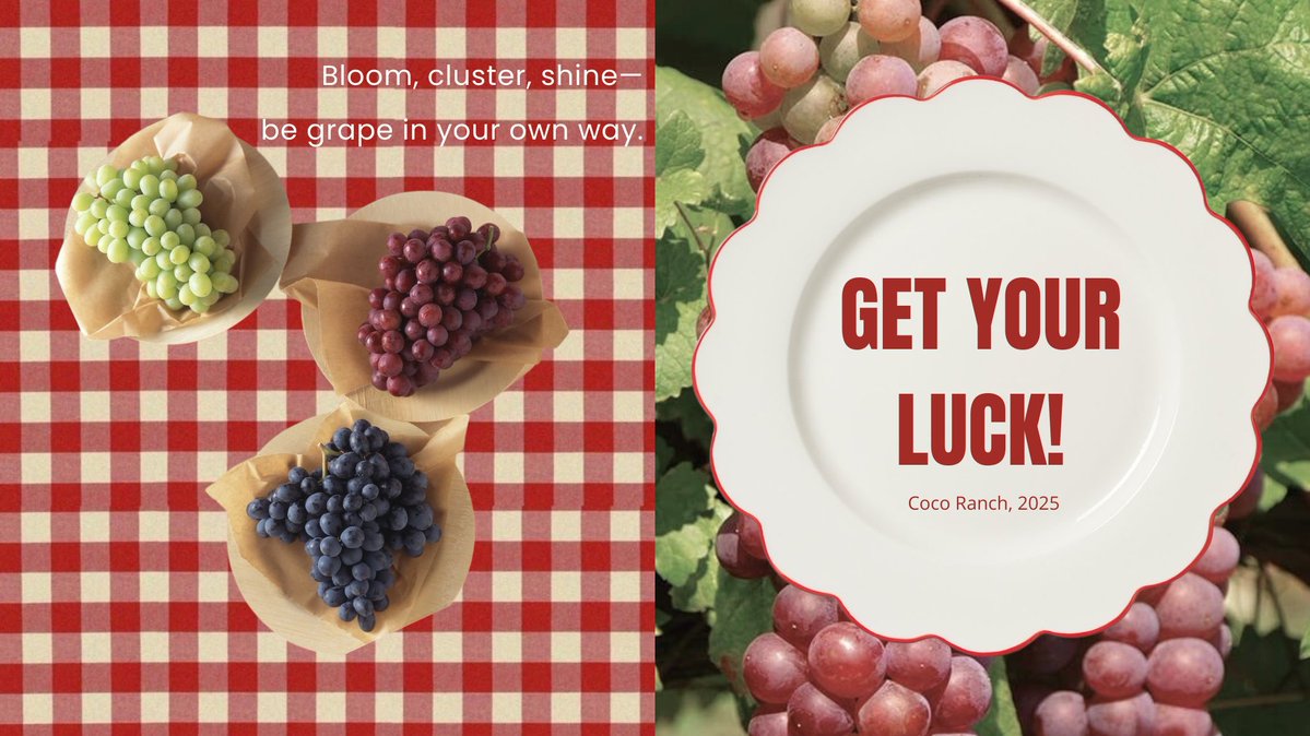 CocoRanch's tweet image. Under a sky scented by an orchard that never sleeps, we’re cracking open our universe. To all of you who’ve been tuning in to the stories tucked inside every seed, we’re offering a little something back to you: “a giveaway.” ’Cause fruits aren’t just picked, they’re celebrated.