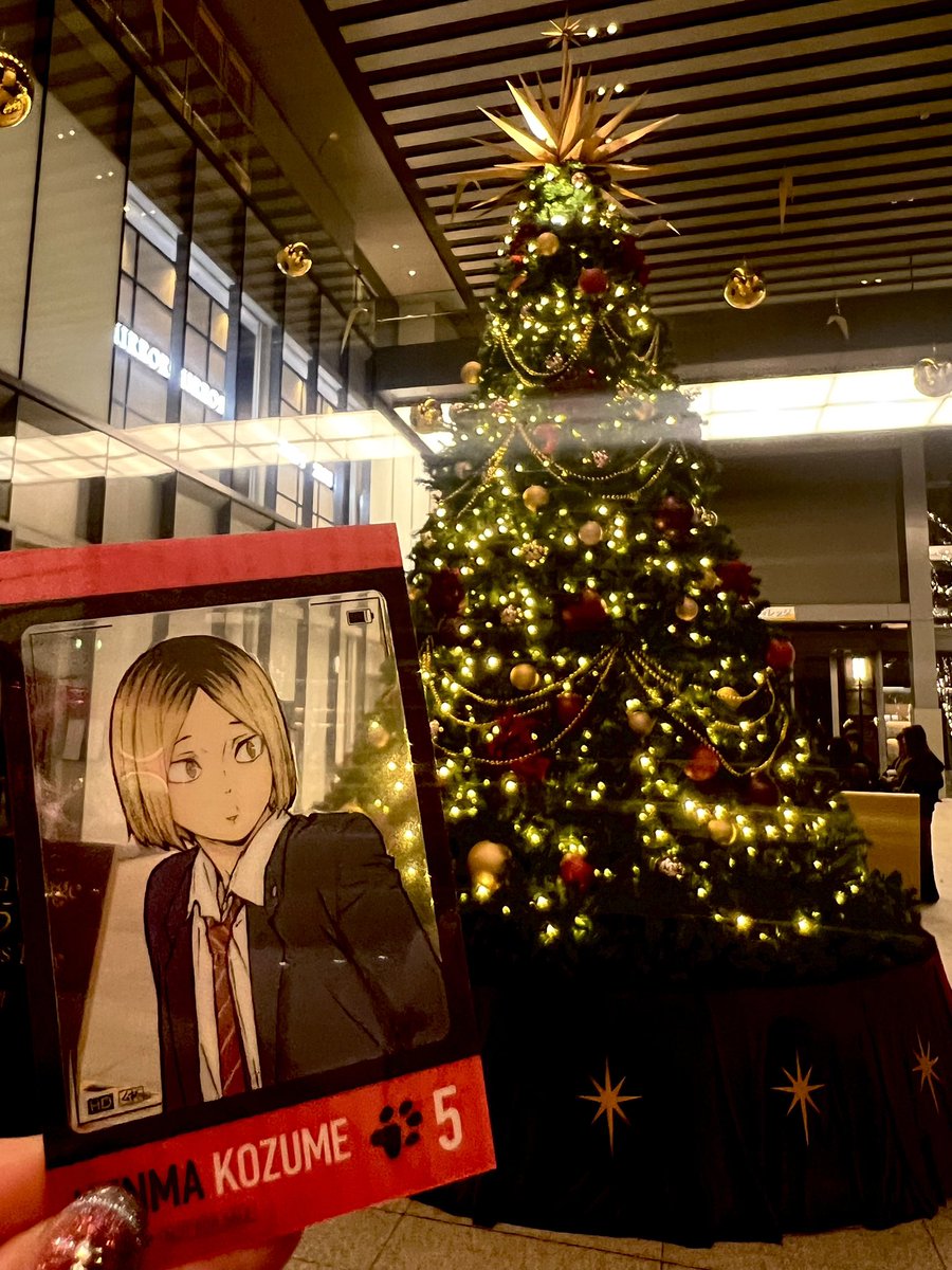 ほら研磨、クリスマスだよ