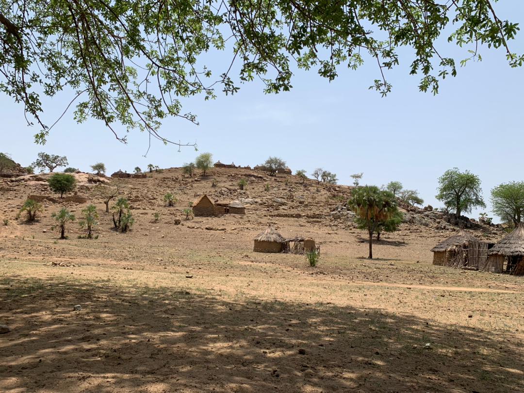 Trauma Rescue Aid - TRAID tweet media