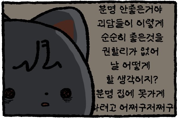 판부15 tweet media
