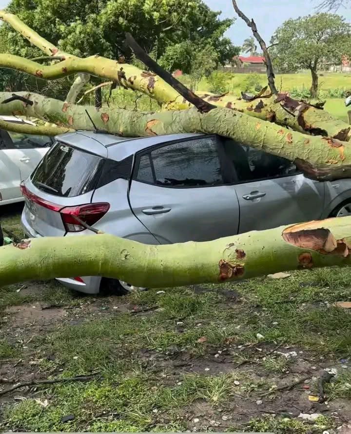 babaMbatha_'s tweet image. In this case, does the insurance comes through for you as a client?💔😫🫠