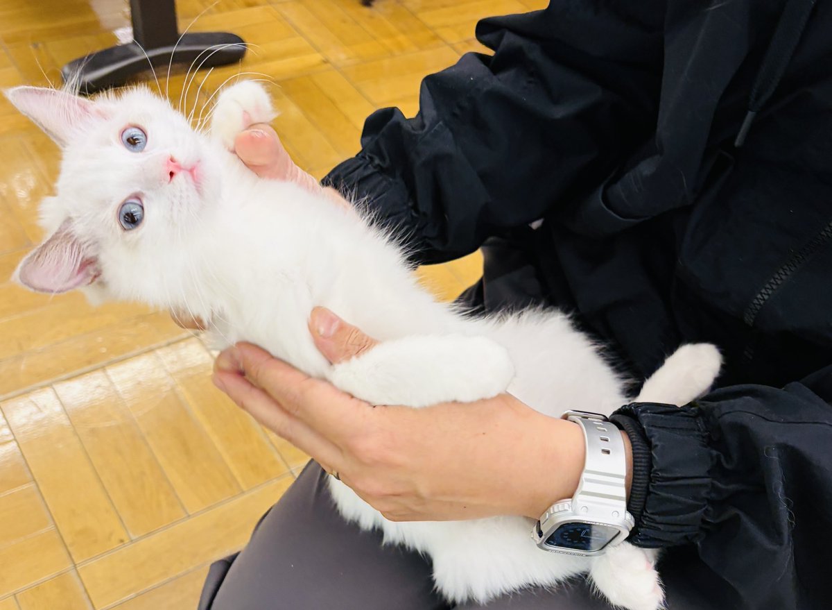 たまちゃん様 TAMAchan - YouTube