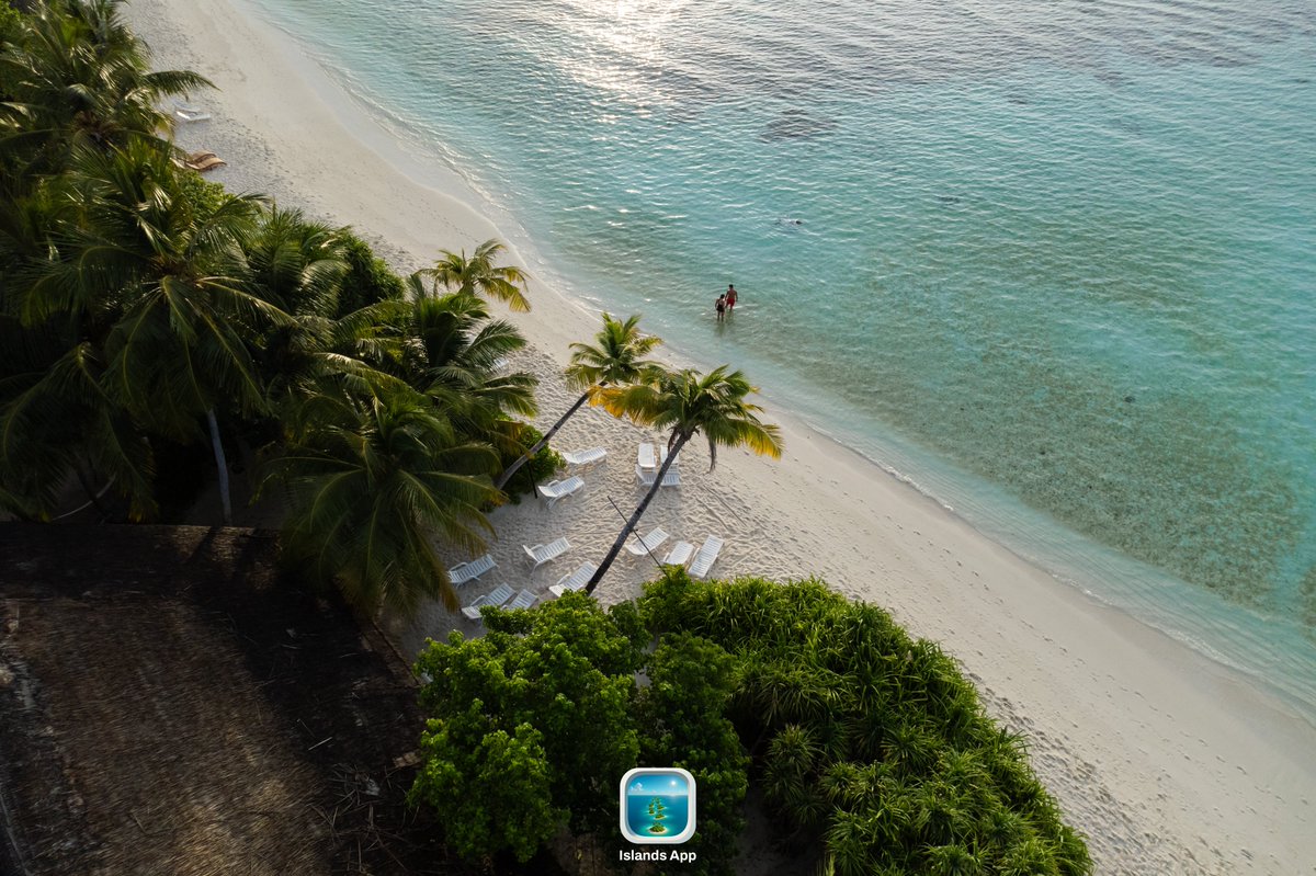 Islands App tweet media