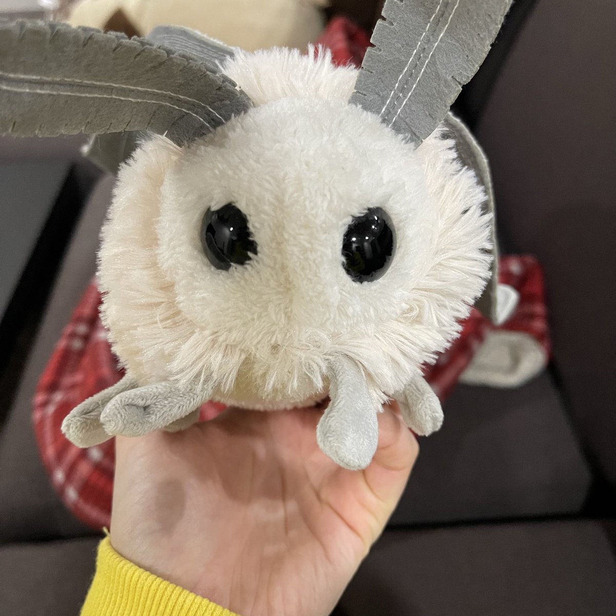 іно нанамівна🇺🇦 tweet media