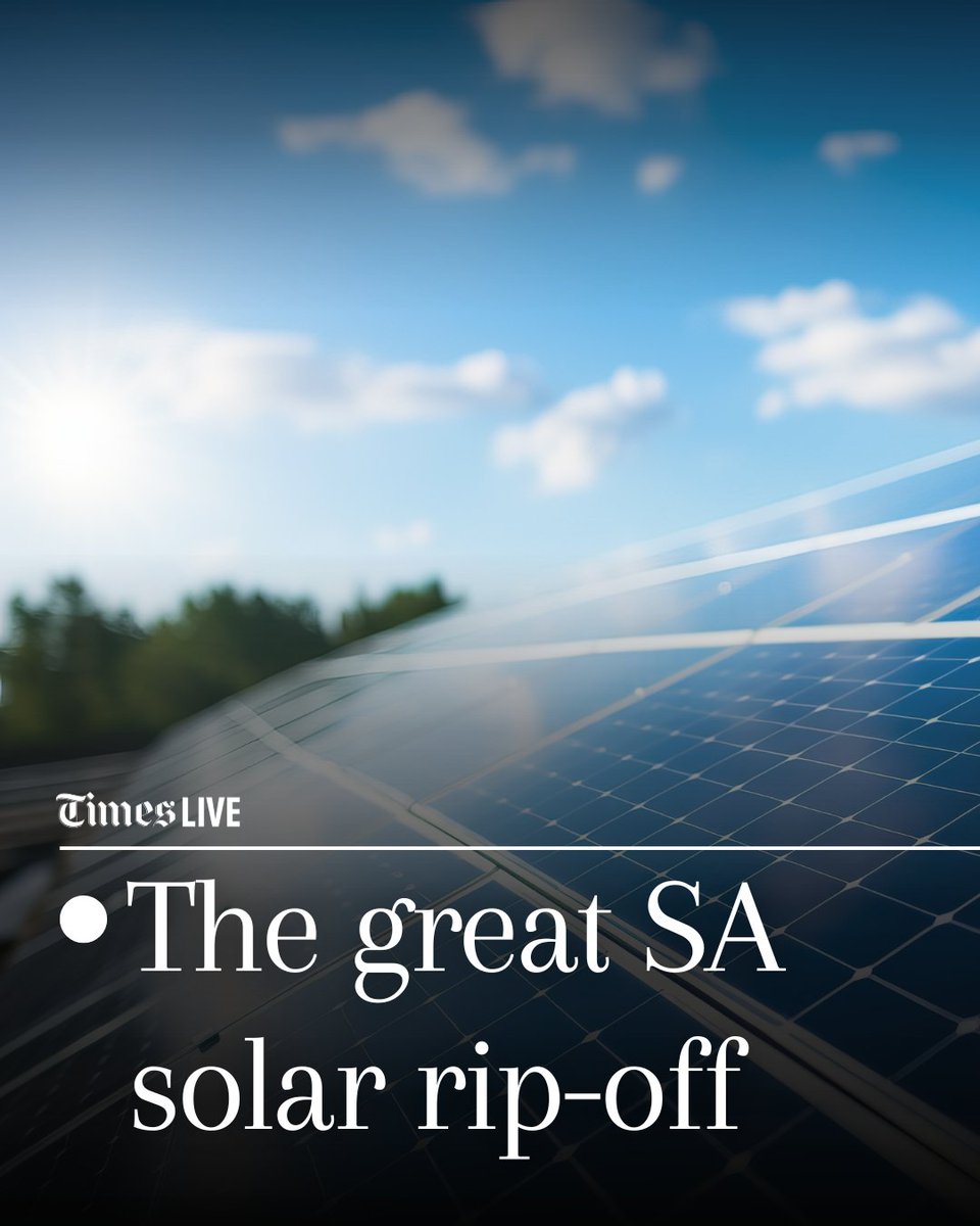According to the papers filed in the Pretoria High Court in 2024, none of the 18 companies awarded the solar component of the government’s renewable energy push have complied with the local content rules, opting instead to import.