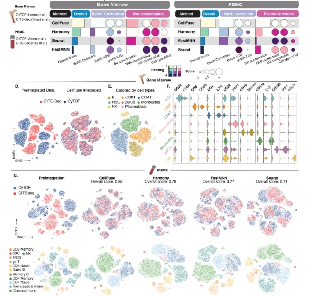 ascanet's tweet image. Abhishek Koladiya ... Kara Davis presented CellFuse, a deep learning-based, modality-agnostic framework for single-cell data integration designed specifically for settings with limited feature overlap. 

➡️biorxiv.org/content/10.110…

#SingleCell #SpatialBiology