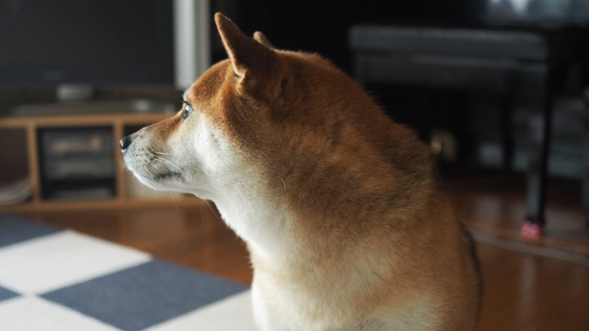 11月さん、またね〜。