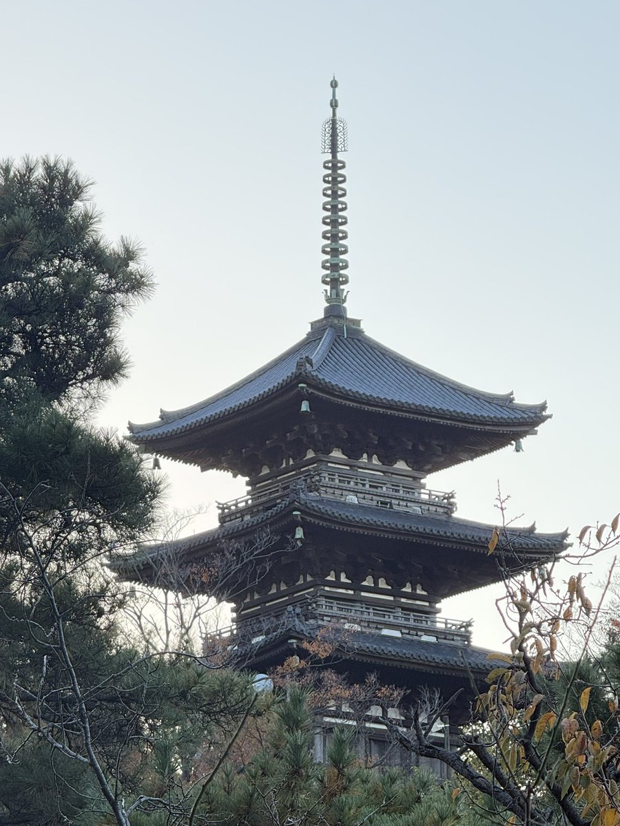 京都…

ではなく横浜