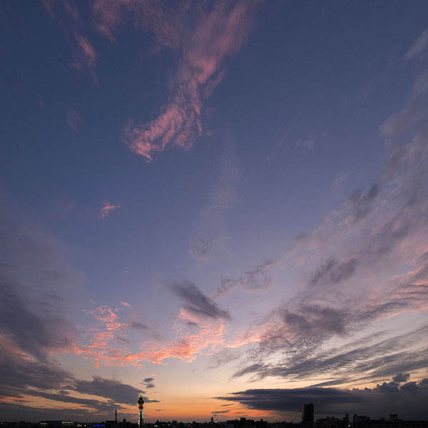 collectioncase's tweet photo. こんばんは。
恒例の「通天閣を含む夕景」を1枚投稿致します。
※撮りためていた写真の中から。
※土日祝日はショーケース/コレクションケースとは無関係の写真です。
#通天閣 #風景 #夕景 #ショーケース #コレクションケース #showcase #collectioncase #大阪陳列
https://t.co/pRrb1Nz3Vy https://t.co/VMEtWNXDOg