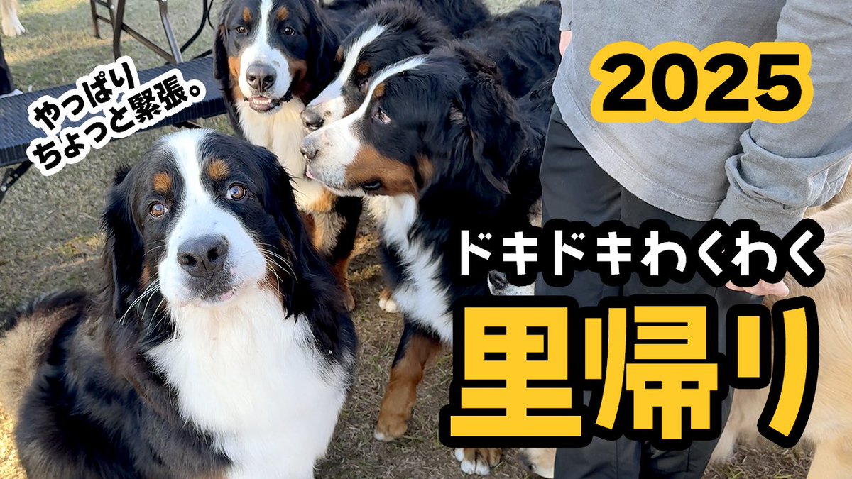 里帰りの動画あっぷしました🌼
youtu.be/SVjxomJ5l5Q