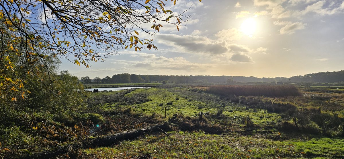 Dingdener Heide 
Foto von <a href="/Shira464/">Shira</a> 
Beitrag zur Followerparade "Herbstlandschaften" wirschum.de/followerparade/