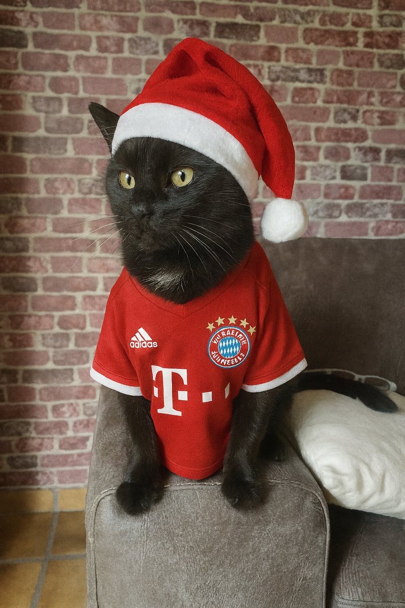 <a href="/BayernChristine/">Christine</a> Auch dir einen schönen 1. Advent. #1Advent #FCBayern #MiaSanMia🕯️☺️😺🐈‍⬛🐾
