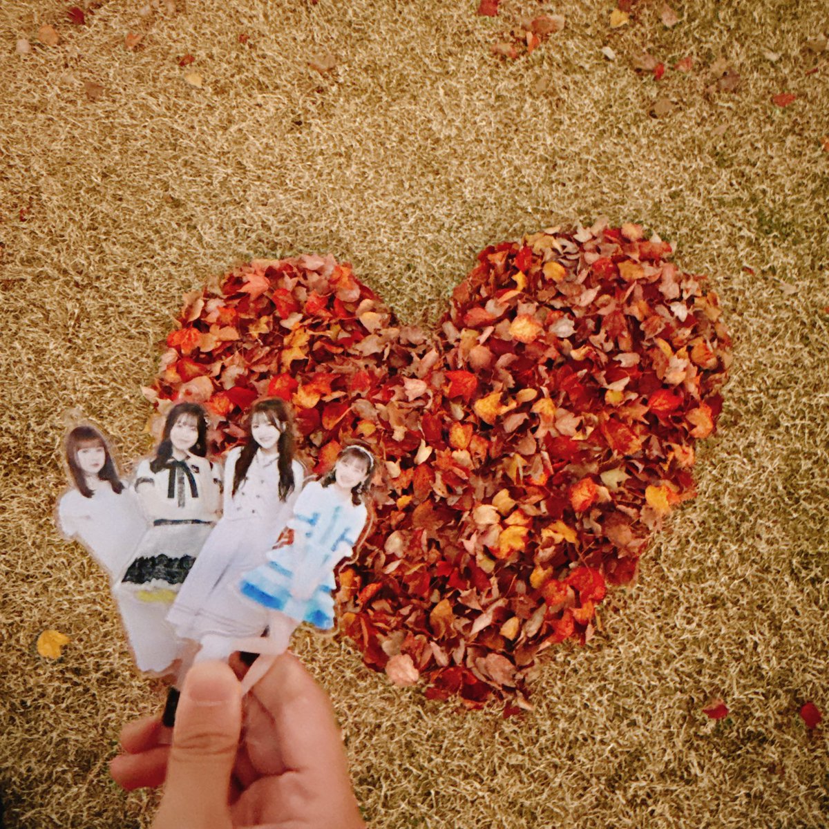 ringo___0220's tweet photo. たこちゃんと紅葉とスワンボート🍁🦢

スワンボートって想像の500倍ぐらい足疲れるしめちゃ楽しいけど、湖のその上〜スイースイーなんてもんじゃなかった笑
（ただただ私たちが本気すぎただけなのかもしれないけど笑） https://t.co/ArpDxCWvd7