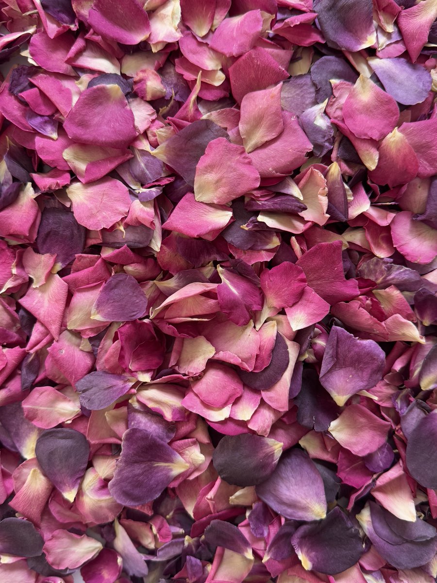Prettypetals3's tweet image. Visit prettypetals.co.uk to explore seasonal colours and order for your celebration. Large range of colours to choose from. How will you add a touch of colour to your day? 🌿💐 #Confetti  #SustainableWeddings #PrettyPetals #WeddingPetals