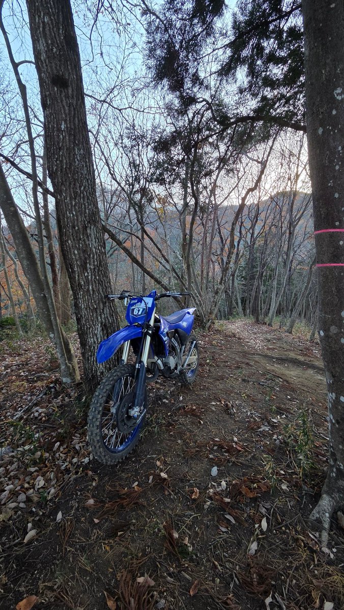 kimurafuck's tweet image. YZ直って久しぶりの木霊の森
ベスコンウッズがめっちゃ気持ちよかったです
今がオフロードやるには最高のシーズンかもしれない