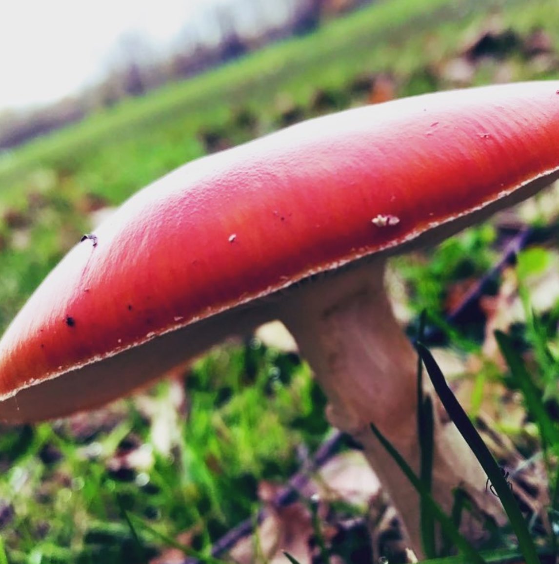 __whatemmadid__'s tweet image. 🤍
 “Being a creator means always searching for meaning.
It is a privilege
It allows you to process your observations of life, people and the world;
To create a narrative from that which is important to you and which you believe may connect you with others”

~Rachel Edwards~ 💫