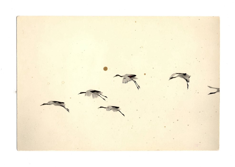 Masao Yamamoto #photography 
yamamotomasao.com