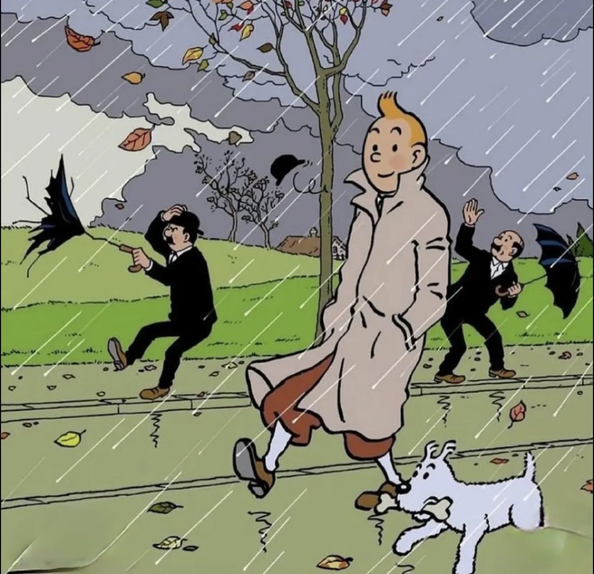 johndory1914's tweet image. Last Day of November 🍂