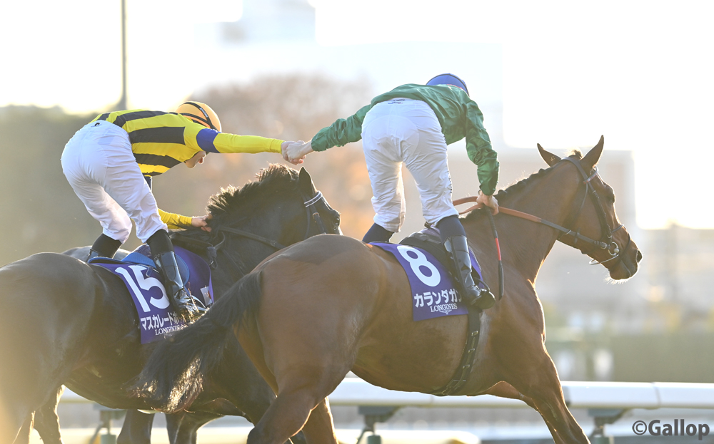 早い者勝ち❗️AbuGarcIa.ZoDIAS 🅿️🅿️🅿️