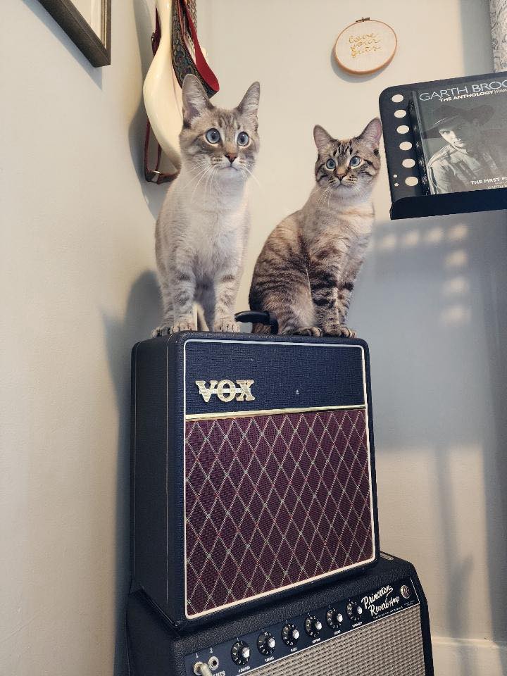 Vox Amps UK tweet media