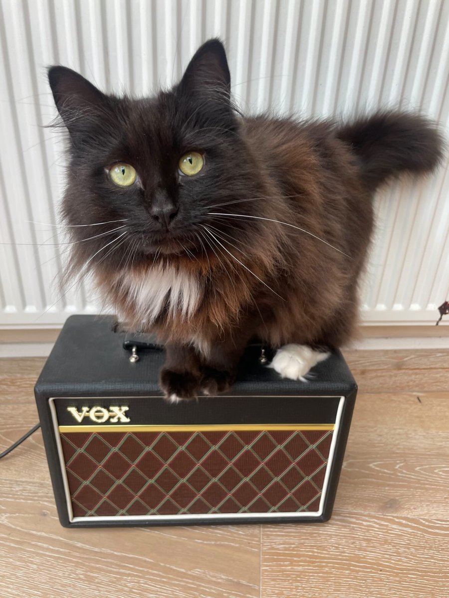 Vox Amps UK tweet media