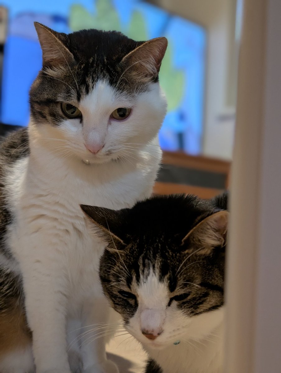 土下座してこういうのを毎日撮影してます。