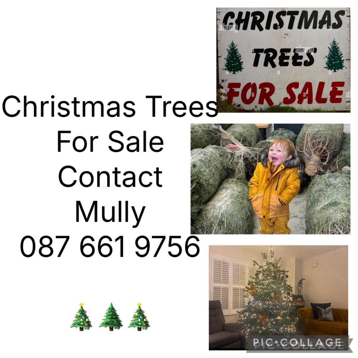 Reminder that Brendan Mulligan currently has Christmas Trees For Sale in our clubhouse in Parc Carman. Mully will be in the clubhouse this morning Sunday from 11.30 am until 1 pm or will deliver to your door. Give him a ring to order or arrange collection at 087 6619756.