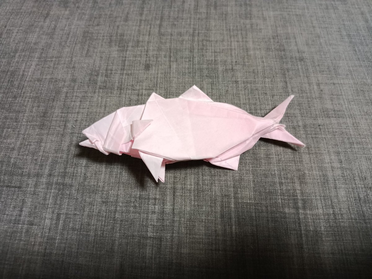 釣ったワカシをモデルにしたけど微妙なライン…
尾びれの1度すぼんでから鋭いカドが二股で出る造形が折り紙だとどうしても汚くなりがち