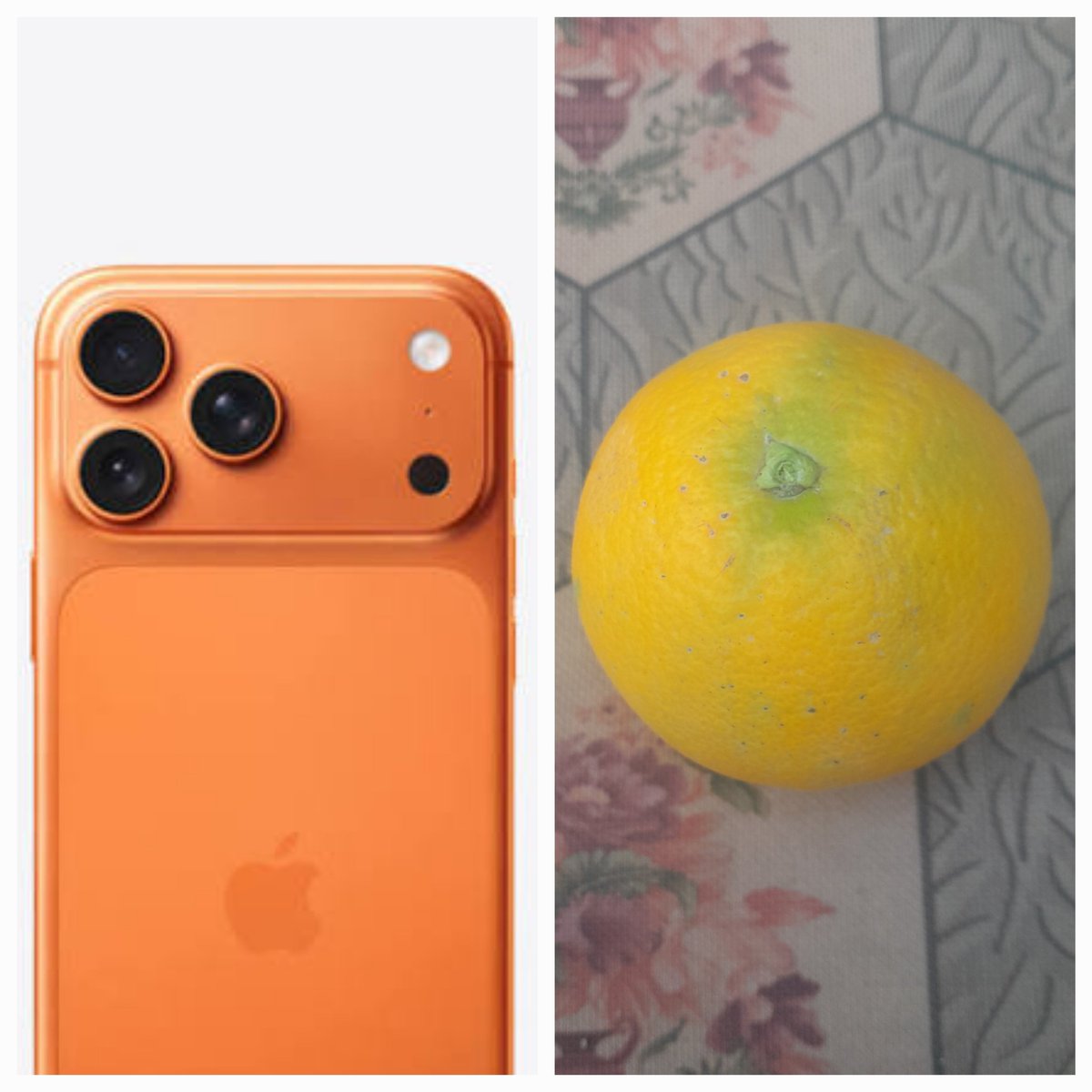 gazagaza94's tweet photo. Some people in Gaza seems to have the orange iPhoneโฆ ๐
Me? I got an actual orange for my dadโa small symbol of hope and care.
Not for trends, but to remind us what really matters.
Letโs bring hope to those who need it most.
https://t.co/454WlBlx03
#Donate #Hope #OrangeForLife https://t.co/Cb2zqlY3V1