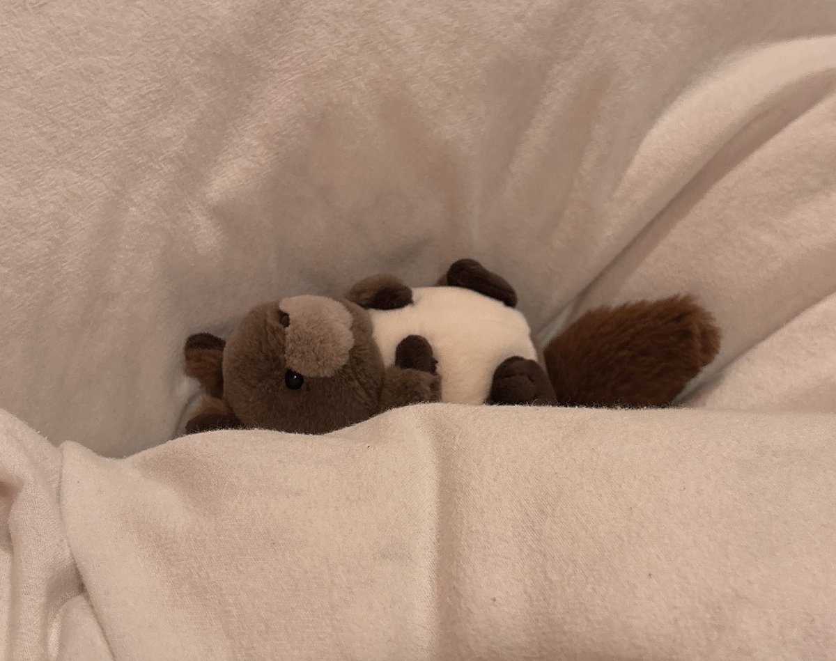 日曜日にあれしよう🎶これしよう🎶と平日に色々考えているが、いざ日曜日になるとベッドから1歩も動けないのである🐿ﾞ