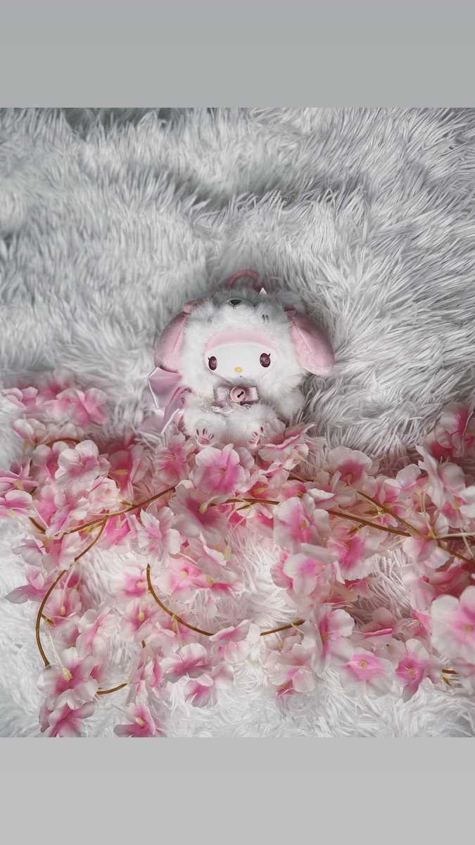 bab3yum3's tweet photo. 🎀✨ Merci à mon ami pour ce cadeau trop chou 🧸💕
Je rêvais d’ajouter cette My Melody à ma collection et elle est encore plus adorable en vrai 😭💖
Je suis trop gâtée pour mon anniversaire, merci du fond du cœur 🥹💗🎂
#MyMelody #Kawaii #BirthdayGift #CuteStuff #SanrioLove #KawaiiAesthetic