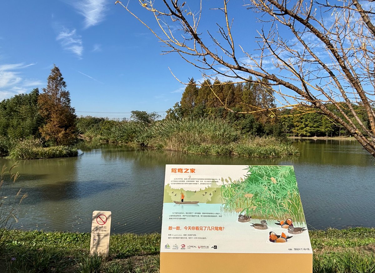 Shan Shui Conservation Center tweet media