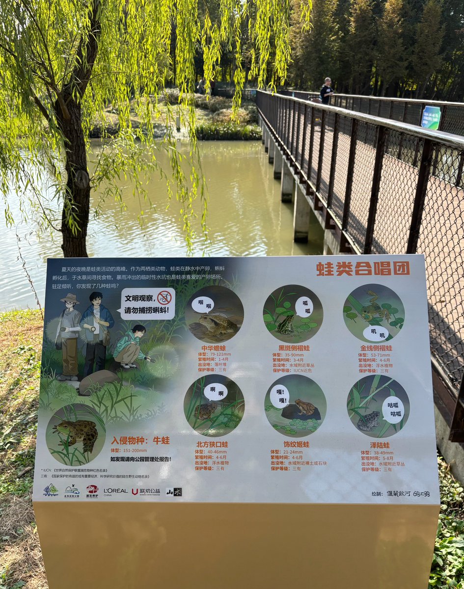 Shan Shui Conservation Center tweet media