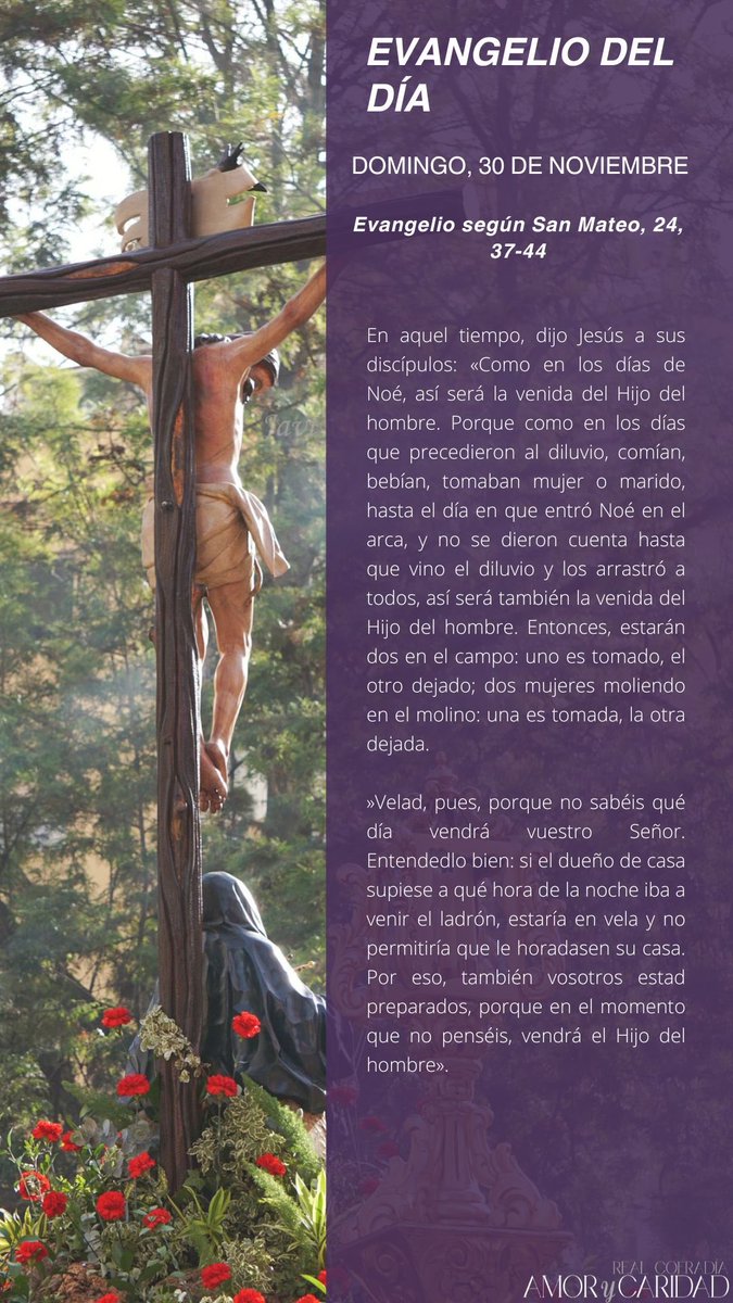 ✝️ EVANGELIO DEL DÍA

¡Feliz domingo! ❤️‍🔥

#CofradíasMLG