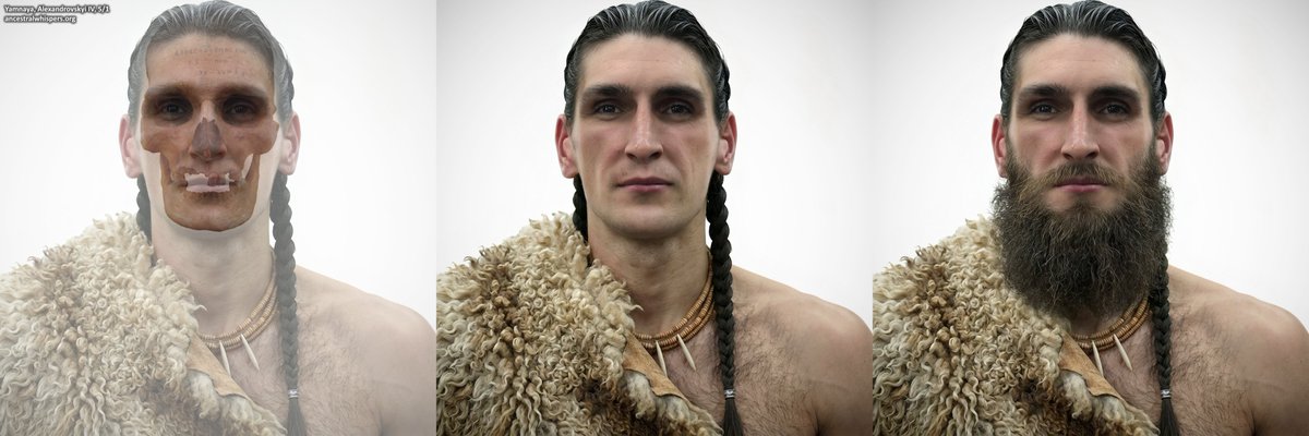 Sulkalmakh's tweet photo. Facial reconstruction of a 4,800-year-old Yamnaya from Chelyabinsk  

He belonged to the Ural variant of the Yamnaya culture, known as the “Tamarutkul type,” which was contemporaneous with the early Poltavka sites of the Volga region.  

Found in Kurgan 5 of the Alexandrovskyi site in Chelyabinsk. The kurgan, approximately 10 m in diameter, was almost unnoticeable on the surface. It had a ring-shaped ditch with a small gap on the north-northeast side. The mound fill consisted of humus-rich loam. A buried soil horizon and washed-in sediments were identified east of the ditch.  
At the center, slightly to the southeast, was a rectangular grave pit (1.65 × 1.35 m, 1.75 m deep). Its vertical walls and bottom were coated with a thick layer of yellow clay, and traces of decayed organic material were preserved.  

The deceased was laid on his back with bent legs, head oriented to the northeast. The arm bones were positioned along the sides and across the pelvis. The skeleton was heavily covered with red pigment. A sheep bone lay near the left elbow. Pottery fragments were found near the southwest corner of the pit.  
A sacrificial complex was placed at ground level along the eastern inner edge of the grave: articulated bones of three sheep arranged in an arc, and a sheep skull oriented westward with separate lower jaws. Additional pottery fragments were found on the western edge of this offering area.