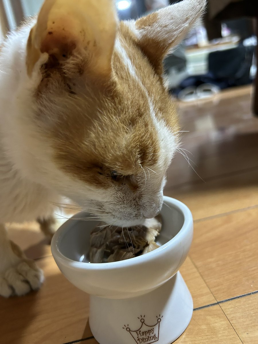 中辛 (@go_curry) / Posts / X