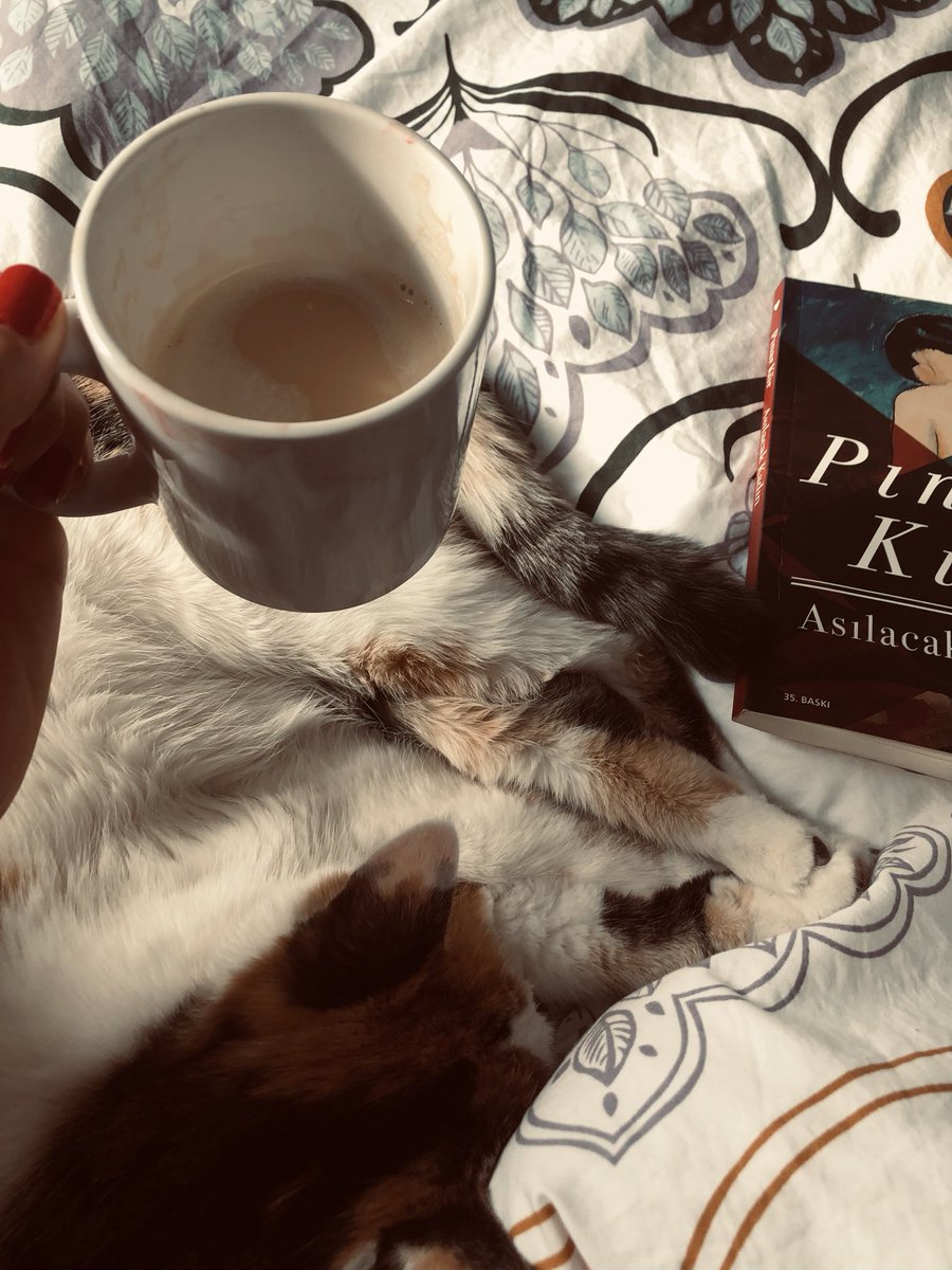 Pazar günümüz ektedir