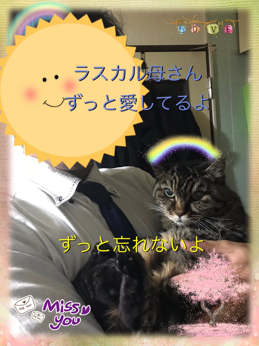 【ラスカル68回目の月命日】
ラスカル、11/30は色々考える事が多い月命日だよ😃
ラスカルもそうかな🙂
今日もたくさんおやつもあるしみんなで食べながらお話ししようか✨
お友達も沢山呼んできてね☺️
＃猫 
＃キジトラ
＃猫好きさんと繋がりたい 
＃月命日
＃虹の橋