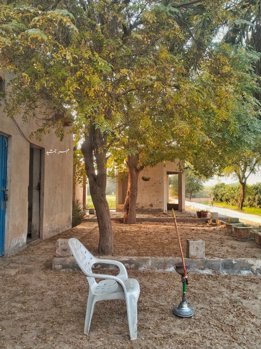 ایک چُھٹی تو مرے ساتھ منا گاؤں میں
کوئی خوش بخت سا اتوار مکمل کر دے

کومل جوئیہ