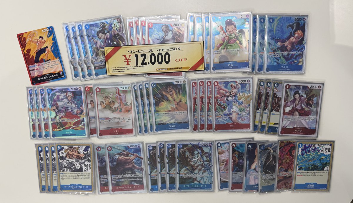 京都大学ワンピカードサークル_クスノキ (@kyotouniv_onepi) / Posts / X