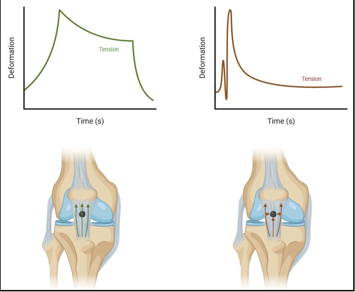 Physio Meets Science tweet media