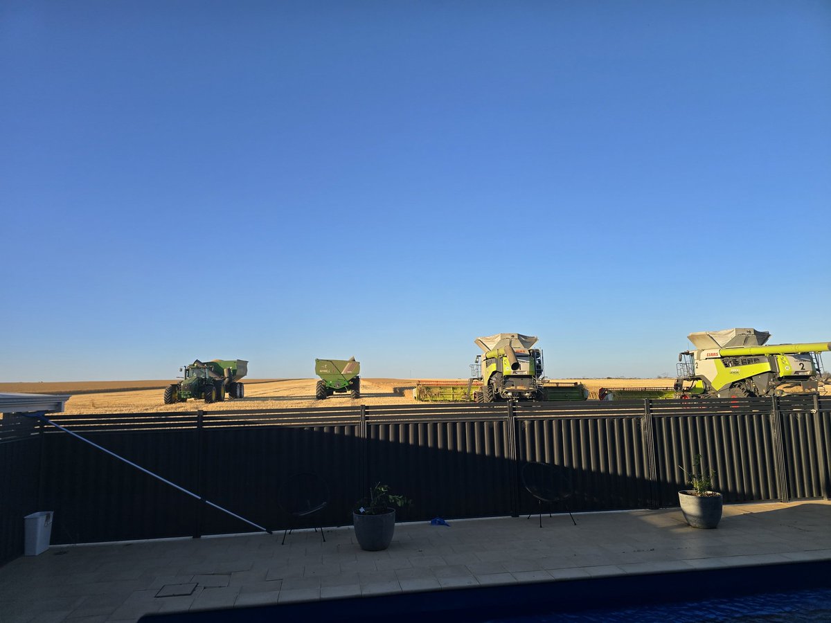 Dinnertime. They ain't bad right on 6 pm,  If I wanted the fuckers somewhere 4 a job they would be an hr late
#bellends