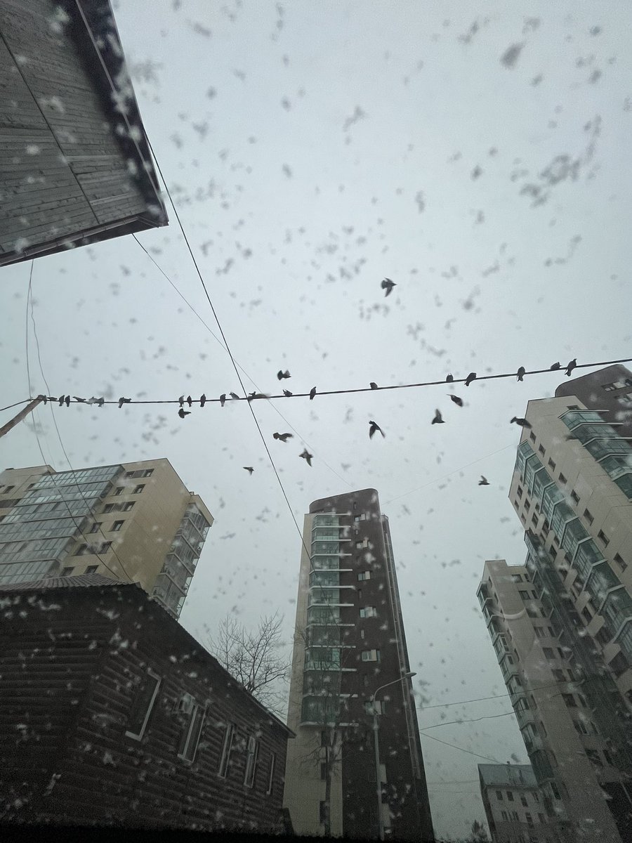 Мне говорили, что нет смысла брать машину со стеклянной крышей. Ну вот гоняйте на обосранных тачках, УАХАХАХАХА