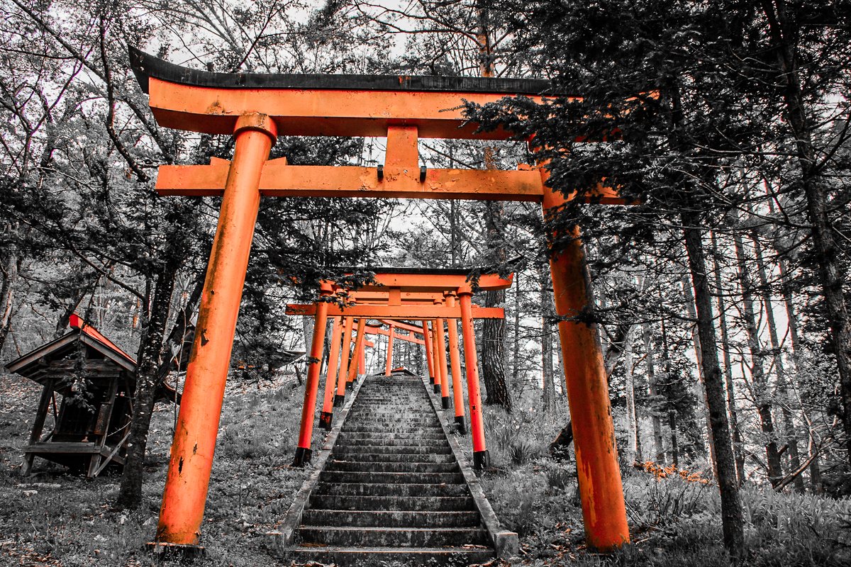 紫苑 (@Shion19Aster) / Posts / X